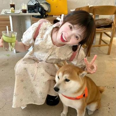 投向未来