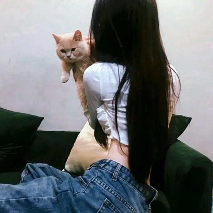 单飞专辑